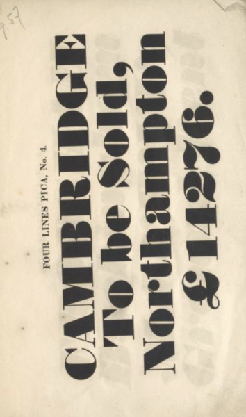 Supplement to specimen by Blake, Garnett & Company
