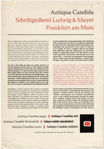 Antiqua Candida, Erbar-Grotesk, Welt-Antiqua, Antiqua Colonia