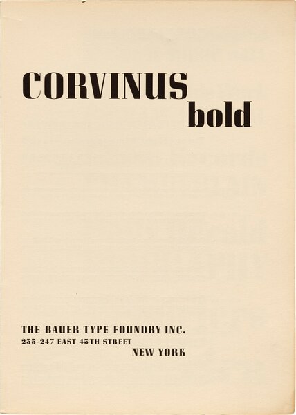 Corvinus: bold