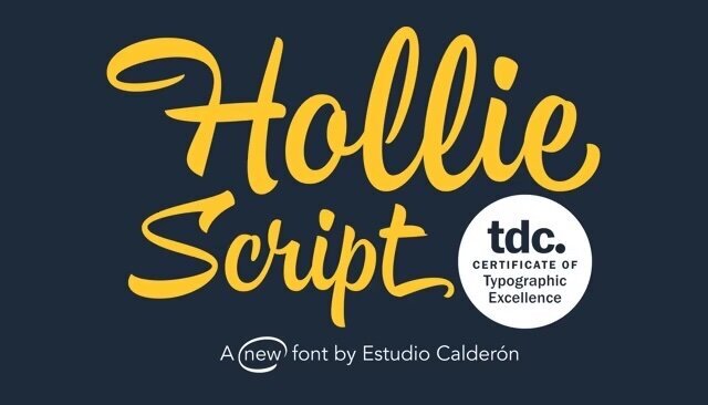 Hollie Script Font // LLC96
