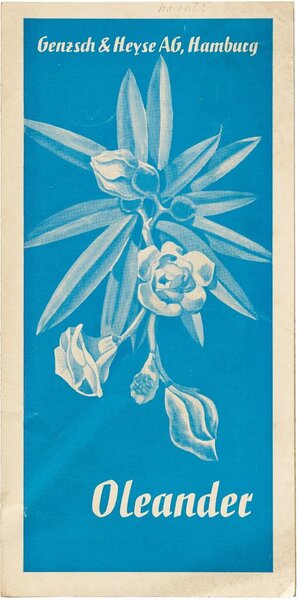Oleander