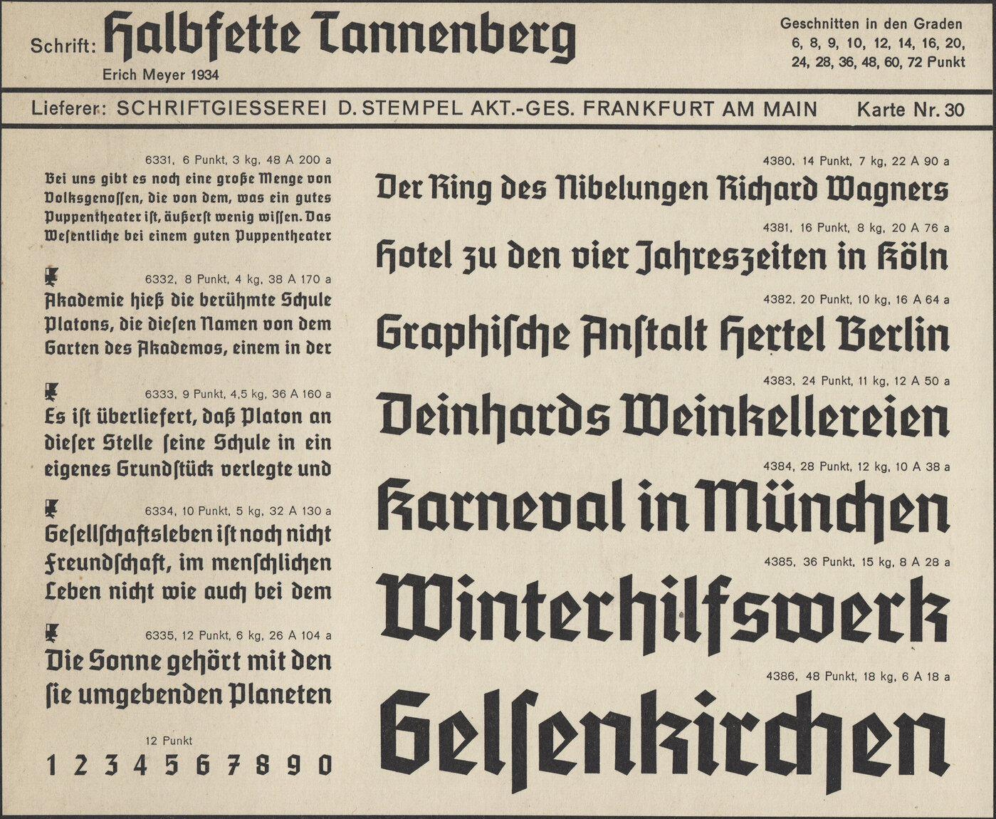 tanne1.jpg