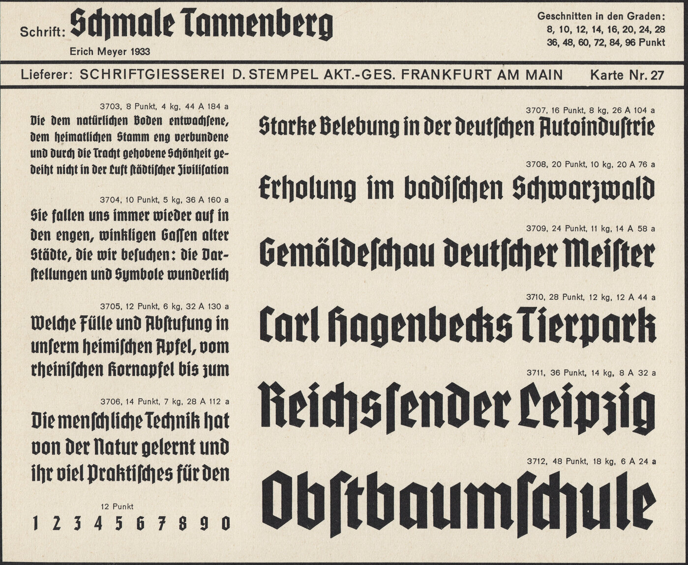 tanne3.jpg