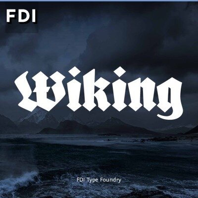 FDI Wiking // LLC2