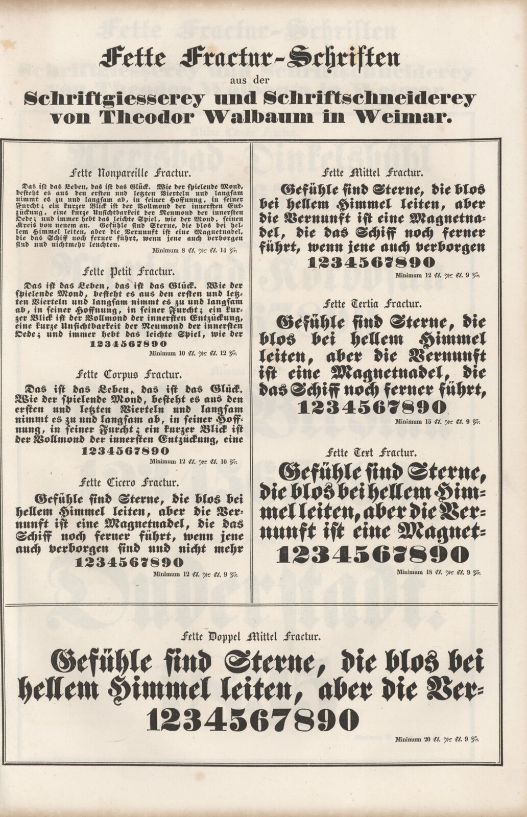Schrift-Proben aus der Schriftgiesserey und Schriftschneiderey von Theodor Walbaum in Weimar // LLC1086